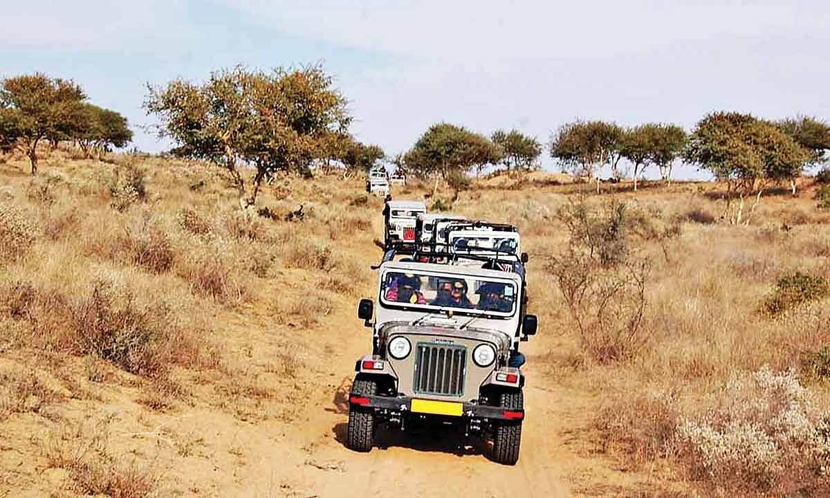 bishnoi village tour rajasthan by jeep safari